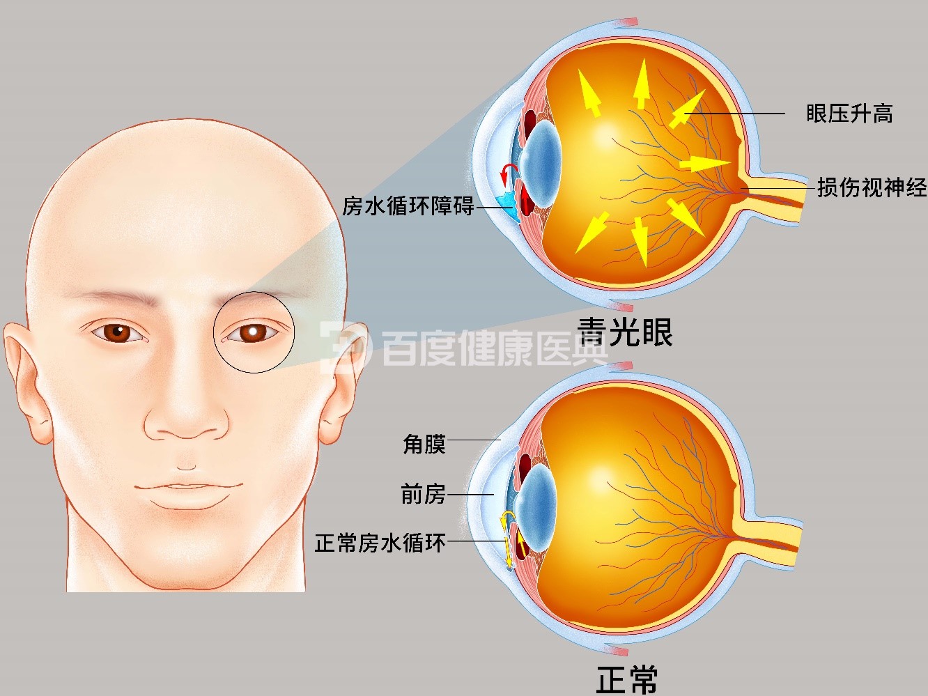 1751936692602007610.jpg 配图5.jpg